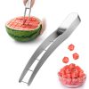 Stainless Steel Watermelon Cube Cutter