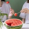 Stainless Steel Watermelon Cube Cutter