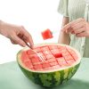Stainless Steel Watermelon Cube Cutter